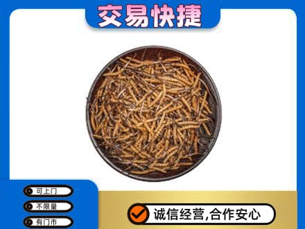 石家庄市高价回收散虫草